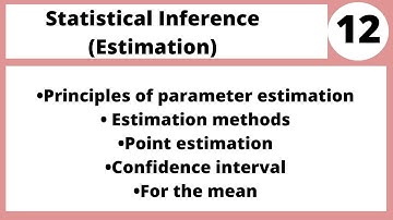 Statistical Inference  Mgt683 Lecture in Hindi Urdu 12