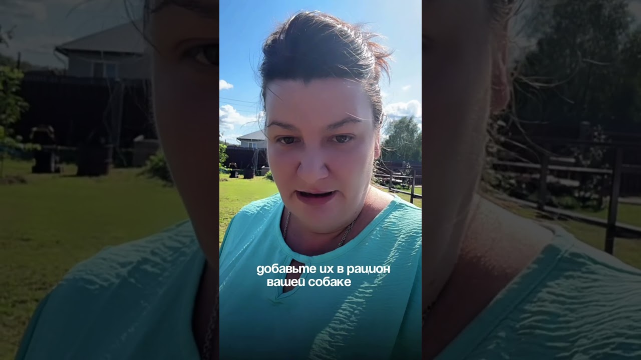 Аминокислоты для тревожных собак #животные #собака #рацион #помощь #нутрициолог