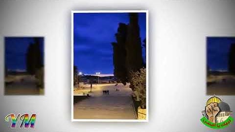 63  سورة   المنافقون القارئ سعد الغامدي