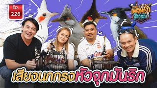 นกกรงหัวจุก Thailand Bird Clip | เพื่อนรักสัตว์เอ๊ย EP.226 เสียงนกกรงหัวจุกมันริก