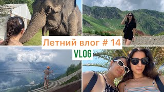 14_vlog | выходные в Сочи | красная поляна, мост над пропастью, Сочи парк, парк слонов и ТЦ