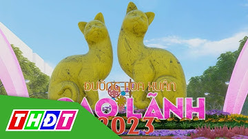 Nhiều nét mới từ ý tưởng Đường hoa xuân TP. Cao Lãnh năm 2023 | THDT