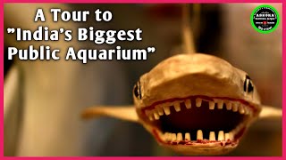 A tour to India's Biggest Fish Aquarium gallery  ' || 'Under the sun' fish aquarium, Udaipur