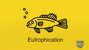 Eutrophication SUPER SIMPLE