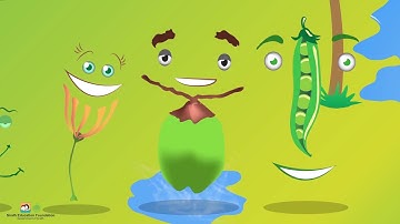 Seed Dispersal (Sindhi Version) I Science I Grade 5 Unit 3 Lesson 4