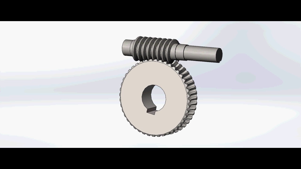 Worm Gear Animation YouTube