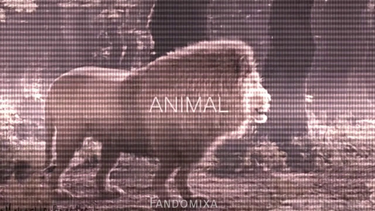 Gryffindor pride.°❇️