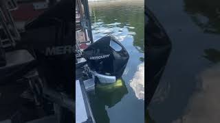 Mercury outboard with Captians call