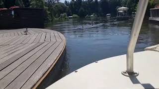 Go home seagull you're drunk! โ Funny Video โ
