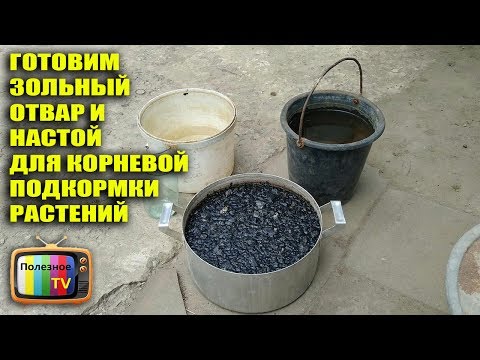 ГОТОВИМ ОТВАР И НАСТОЙ ИЗ ЗОЛЫ ДЛЯ КОРНЕВОЙ ПОДКОРМКИ РАСТЕНИЙ