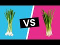 Scallions vs Green Onions - What's the Difference?