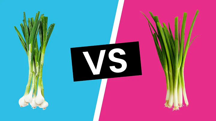 Scallions vs Green Onions - What's the Difference? - DayDayNews
