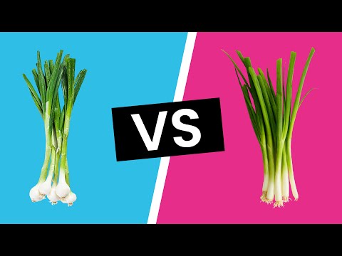 Scallions vs Green Onions - What&rsquo;s the Difference?