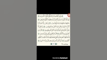 ما #تيسر# من# سورة# المؤمنون #بصوت القارئ #أبو محمد## الرشيد ####