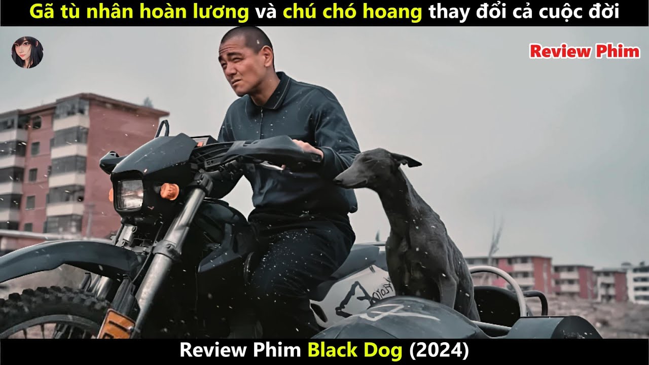 [Review Phim] Gã tù nhân hoàn lương và chú chó hoang thay đổi cả cuộc đời