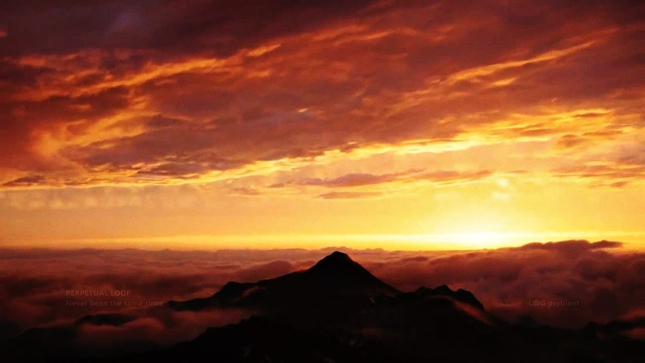 PERPETUAL LOOP  - Never been the same since