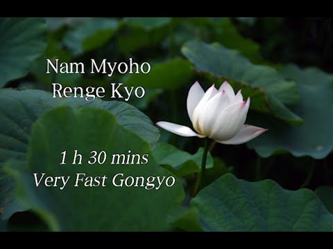 Nam Myoho Renge Kyo-  Evening Gongyo (Medium)