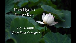 Miracle Very Fast Gongyo - 1h 30mins Nam Myoho Renge Kyo