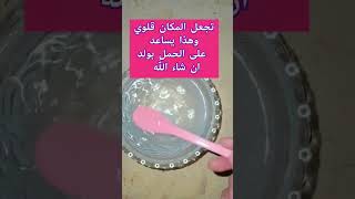 وصفه تساعد على الحمل بولد ان شاء الله