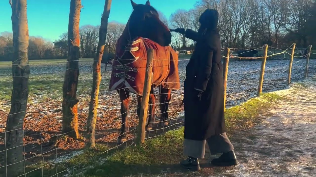 Lần đầu cho ngựa ăn, ngắm tuyết rơi ở London