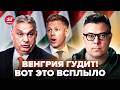 😮БЕРЕЗОВЕЦ: ТАЙНАЯ ЗАПИСКА Мадяру! У Орбана СРОЧНО сжигают СЕКРЕТНЫЕ ДОКУМЕНТЫ по РФ. Венгрия ГУДИТ