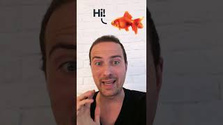 Even a goldfish can do better 🤦‍♂️ #shorts #ux #ui