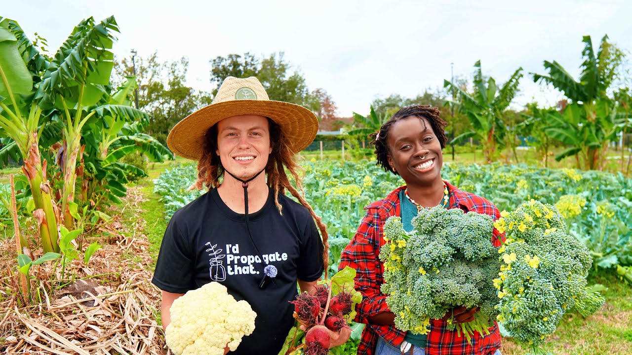 How a Community Food System Feeds Thousands Without Grocery Stores | Inside 4Roots