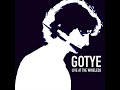 Capture de la vidéo Gotye - Live At The Wireless