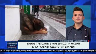 Δήμος Τρίπολης: Συναγερμός για μαζική εγκατάλειψη αδέσποτων σκύλων