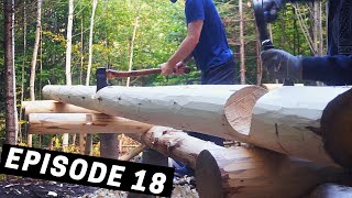 Download Lagu Building A Log Cabin | Ep. 18 | The walls are starting to go up! MP3