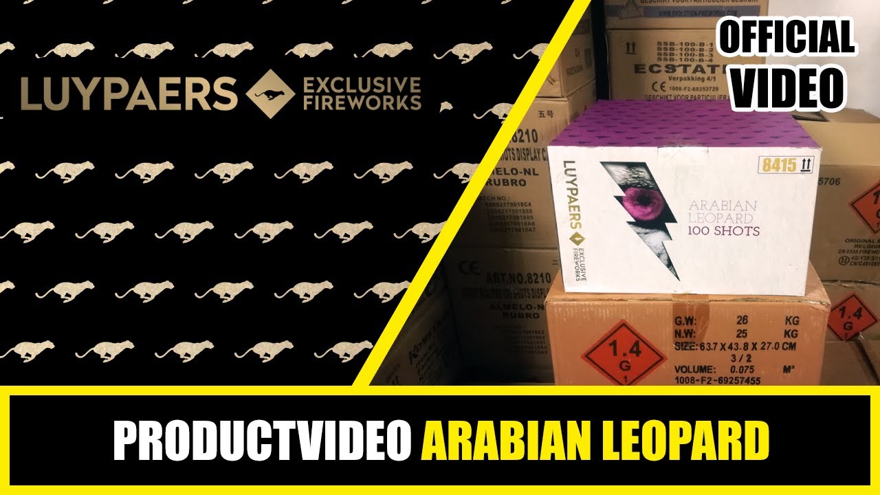 PRODUCT VIDEO | LUYPAERS | ARABIAN LEOPARD | 8415