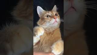 She Experienced The Best Feeling On Earth 😂