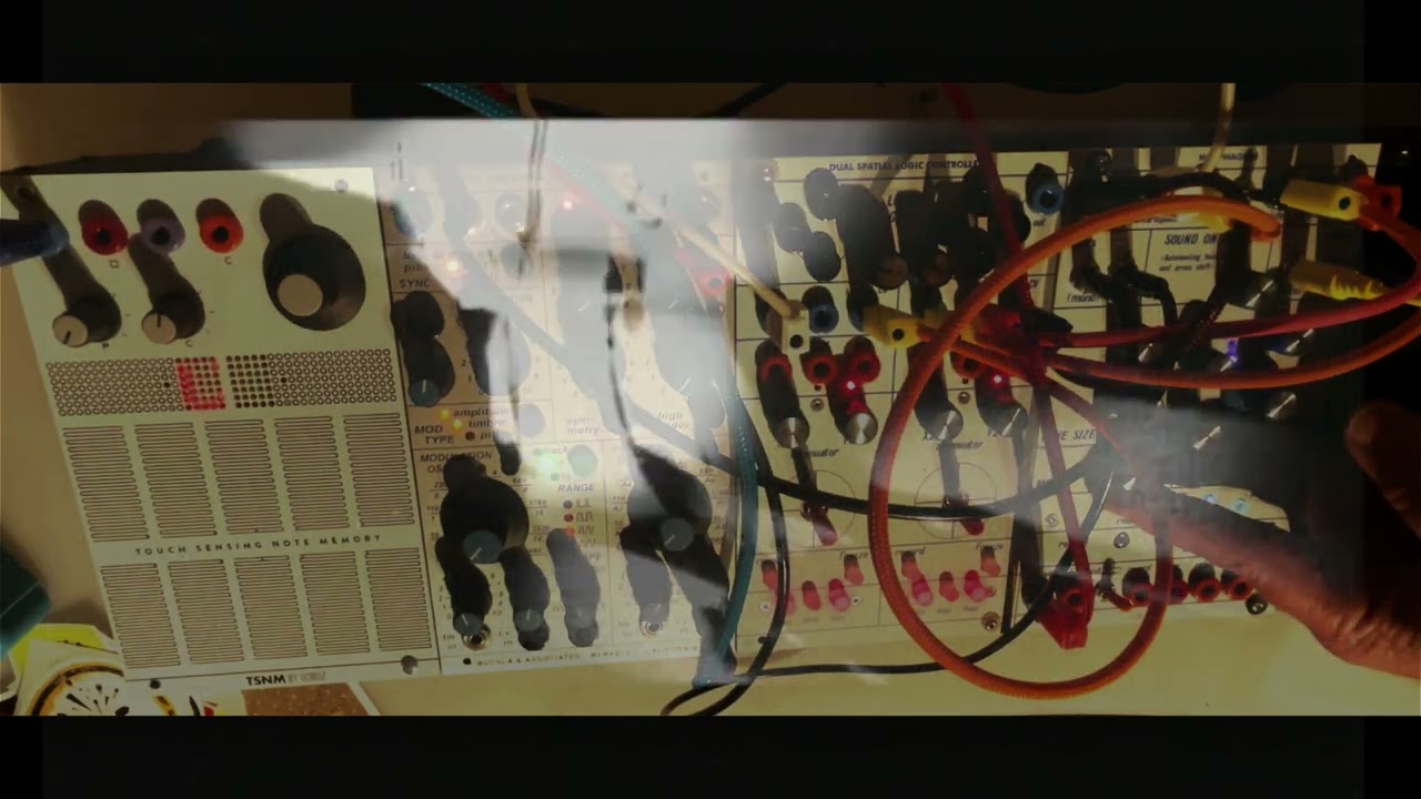 nr 10 BORPH - MANGOEST 2025