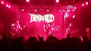 BENIGHTED - Collapse @BUCHAREST DEATHFEST 2024