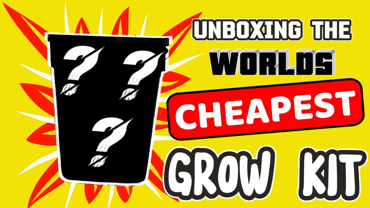 This Auto Flower Grow Kit Only Cost $40! Just Add Water And Light!!