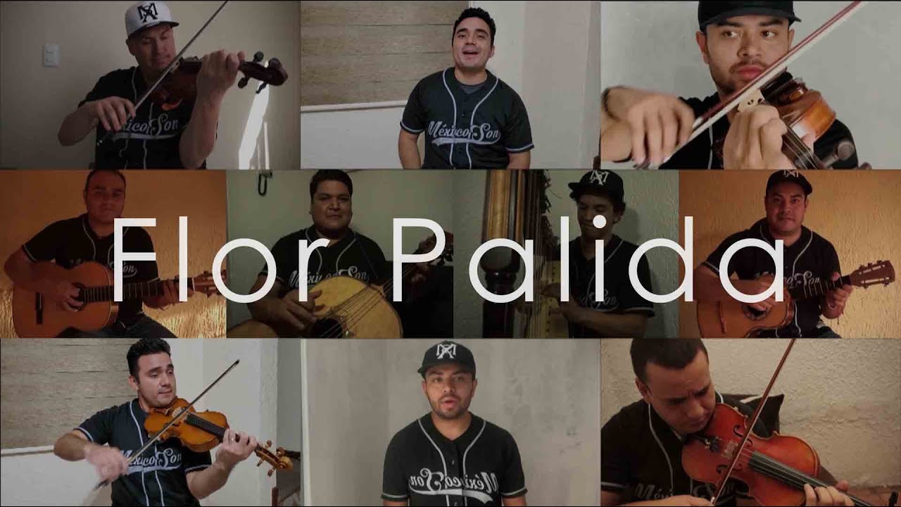 Flor Pálida (Cover) - Mariachi México Son