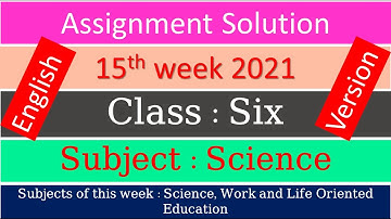 English Version Class 6 Science 15th week assignment solution