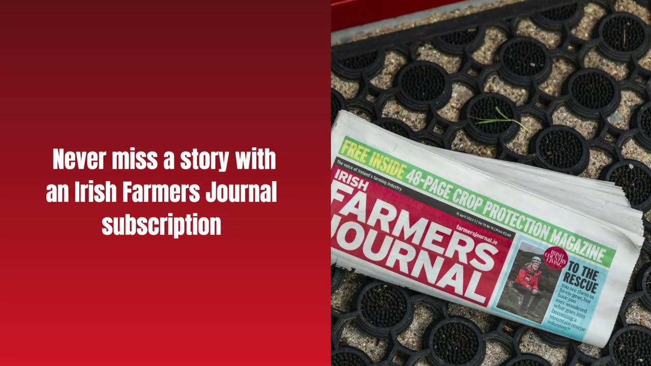 В этом номере журнала Irish Farmers Journal от 17 января 2026 года.