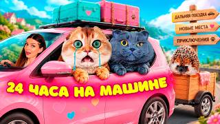 ПЕРСИКУ СТАЛО ПЛОХО! 😿 24 ЧАСА В МАШИНЕ с КОТИКАМИ и ЕЖИКОМ 🚗 | ВОЗВРАЩАЕМСЯ ДОМОЙ