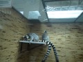 MOV02809