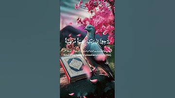 يا أيتها النفس المطمئنة #قران #تلاوة_خاشعة #نور_المشكاة