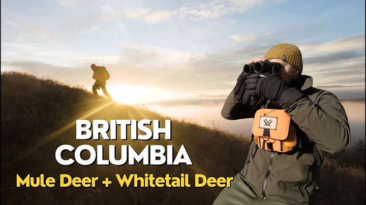 British Columbia Mule Deer Hunt 2025 | Spot & Stalk Mountain Buck Adventure