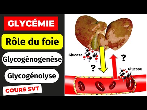 Video: Is glikogenolise eksergonies of endergonies?