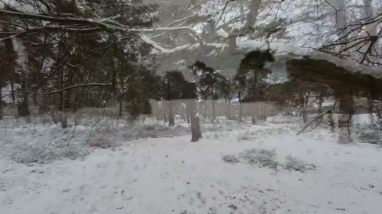 Geijsteren   Boschhuizerbergen