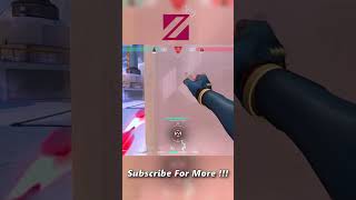 Insane Reyna Dismiss