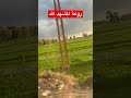 روعة #المشهد #الله