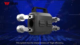 New product:Wire rope online inspection system