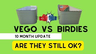 Birdies vs Vego Review  10 Months Later  Are The Beds Caving?