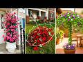 Ideias de Jardim DIY: Transformação de Quintal com Ideias Brilhantes de Paisagismo
