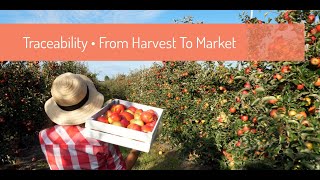 Traceability - From Harvest to Market